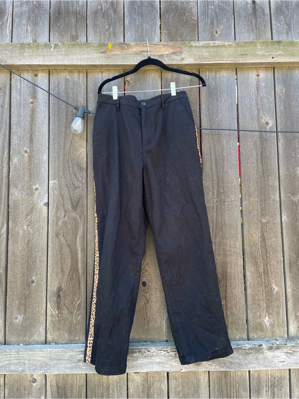 Brixton Black Chinos with Leopard Side Stripe